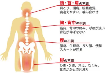 診療案内 健やか整骨院